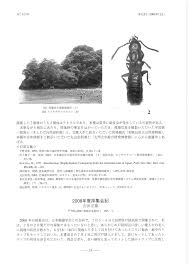 和歌山市不用品回収・受付年中無休・最短即日対応・無料見積り ｜  【公式】不用品回収なら和歌山片付け110番｜粗大ゴミ回収・ゴミ屋敷・遺品整理など24時間受付中！