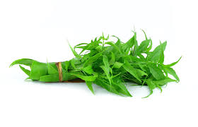 Image result for Motandra paniculata