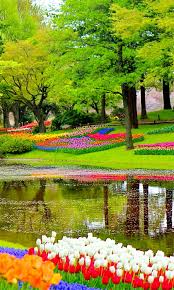 Contact garden constructions today for stunning landscaping in the bayside area. Bayside Landscape Pruning Landscaping Services In Sequim