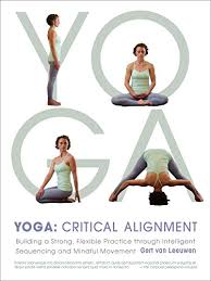 Maybe you would like to learn more about one of these? A Book Review By Birgit W Patty Yoga Critical Alignment Building A Strong Flexible Practice Through Intelligent Sequencing And Mindful Movement