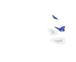  Butterfly Butterflies Photo 15375335 Fanpop Butterfly Photos Butterfly Images Butterfly Gif