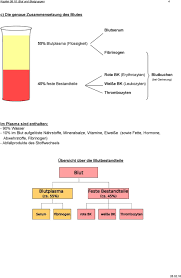 Kapitel 08 10 Blut Und Blutgruppen Pdf Kostenfreier Download
