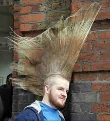 Want to play funny haircut? Most Funny Haircuts Home Facebook