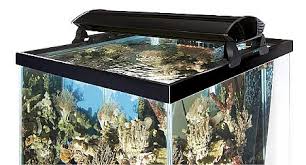 Zoo Med Aquasun T5 Ho Light Hood 36 2 X 39 Watt Lighting Aquarium Supplies
