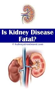 Natural Cure For Kidney Chronic Kidney Disease Treatment Diet
