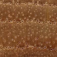 Get it as soon as tue, feb 16. Pecan The Wood Database Lumber Identification Hardwood