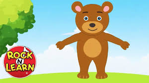 Teddy bears, paddington bear, koala bear, polar bear, panda, and more. Teddy Bear Teddy Bear Turn Around Youtube