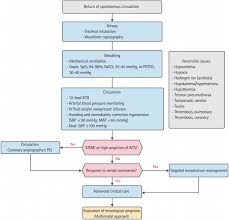 Hyperkalemia can happen if your kidneys don't work properly and cannot remove potassium from your body or if you take certain medicines. Post Cardiac Arrest Care Strategies Xref Rid F1 Ceem 16 130 Ref Type Fig Fig 1 A And Xref Rid T1 Ceem 16 130 Ref Type Table Table 1 A