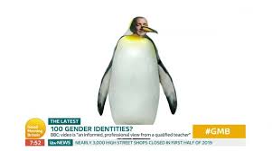 Penguin quotes penguin art all about penguins cute penguins penguin tattoo love of my life my love penguin love quotes. Piers Morgan Identifies As Penguin And Demands To Live In Aquarium In Furious Rant Mirror Online