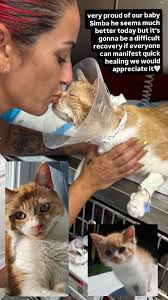 We've had Simba since he was a little fur ball and still needed to be ...