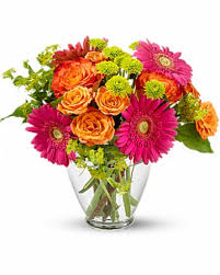 Delivery is available monday through saturday, with sunday delivery available on select holidays. Over The Rainbow In Edmonton Ab Petals On The Trail