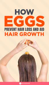 How Eggs Prevent Hair Loss And Aid Hair Growth Hair Loss Natural Remedy Stop Hair Loss Oil For Hair Loss