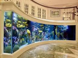16 Truly Amazing Interiors With Fascinating Aquarium Aquarien Wandaquarium Aquarium Design