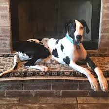 Jump to navigation jump to search. Rosalia Flores Rflored Perfil Pinterest