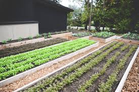 Last summer my husband and i both spontaneously took jobs at vegetable farms in vermont. Fall And Winter Gardening Seattle Urban Farm Company