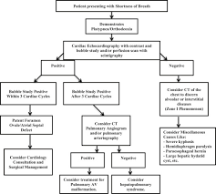 The Multiple Dimensions Of Platypnea Orthodeoxia Syndrome A Review Respiratory Medicine