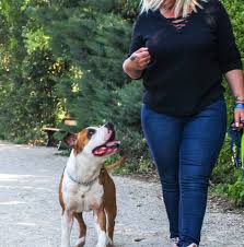 Help Dog Education éducateur comportementaliste canin/ Dog sitter/Parc de loisirs canin/Agility de loisirs