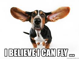 I Believe I Can Fly Big Ear Dog Meme Generator