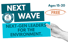 Next Wave: Land + Water Nexus for a Healthy Port Royal Sound