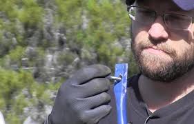 How To Build A Geodesic Dome: 268 Square Feet for $300