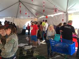 Mae Crum (@Thunder_Up_OKC)