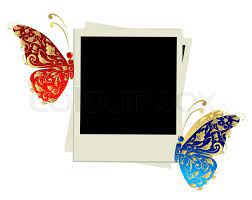 Square white photo frame shadow on transparent. Photo Frame Design With Butterfly Stock Vector Colourbox