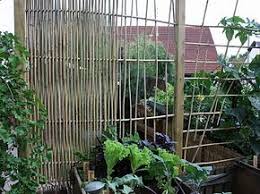 Rankgitter Sichtschutz Aus Bambus Selber Bauen Sichtschutz Garten Bambus Gartengestaltung Rankgitter