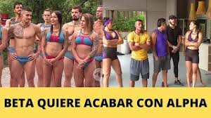 Desafío the box en colombia, todos los capítulos, avances e información exclusiva en caracol televisión. Beta Quiere Acabar Con Alpha Avance Desafio The Box Capitulo 63 Youtube