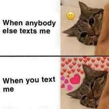 Pin By Tika On Wholesome Memes Funny Boyfriend Memes Cute Memes Cute Love Memes
