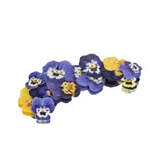 Maybe you would like to learn more about one of these? Pressed Mini Viola Flowers Edible Flower Decorations Cake Supplies