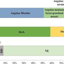 Image result for Adenodolichos punctatus