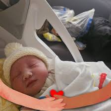 Give us LJ Junk Removal & Moving Services LLC a call for your junk removal,  moving, or both needs. We provide straightforward pricing that is  affordable and top-of-the-line customer service. Let us