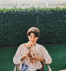 Chihuahua, anjing, anjing, manis, hewan peliharaan, berkembang biak, hewan. ð•Žð•šð•Ÿ ð•„ð•–ð•¥ð•'ð•¨ð•šð•Ÿ In 2020 Couple Photos Photo Scenes