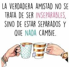 El Tiempo No Te Hace Perder Tus Amigos Con Imagenes Frases De Amistad La Verdadera Amistad Amigas Frases