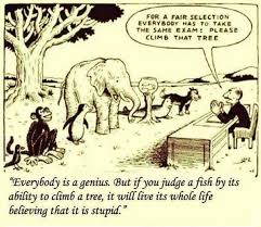 Please Climb That Tree Most Schools And Colleges Today Teach By Kumara Raghavendra Medium There are some things one would rather have done than do. please climb that tree most schools