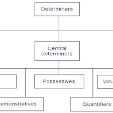 A quantifier is a determiner that quantifies its noun, like english some and many. The English Determiners Download Scientific Diagram
