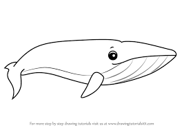 Start on the left and finish on the right. Learn How To Draw A Cartoon Blue Whale Cartoon Animals Step By Step Drawing Tutorials