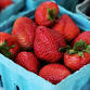 Shandon Strawberry Festival