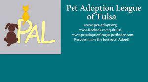 We do not place any holds on any animals. Pet Adoption League Waiting Dogs Cats Home Facebook