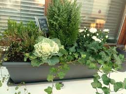 Jardiniere D Hiver Pflanzideen Herbstgarten Bepflanzung