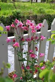Notre Jardin Secret Tuin Tuinieren Deco