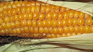 Pin On Health