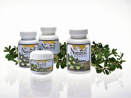 And it is in it that the effects on our body lie. About Purslane Natural Plantation