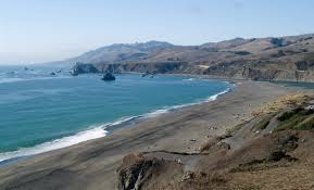 Goat Rock Beach Jenner Ca California Beaches