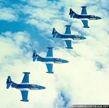 Image result for Blu Davis 1988 Fleet