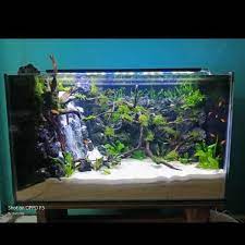 Aquascape maintain automatic dosing system water treatment for pond, 32 oz/946 ml | 96032. Jual Jasa Bikin Paket Aquarium Aquascape 60 X 30 Cm Terima Custom Order Desain Model Ukuran Dll Di Lapak Rizal Bukalapak