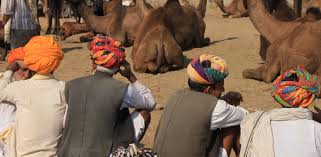 Pushkar is one of the most visited tourist destinations in rajasthan. Pushkar 2015 Camel Fair Artisan Lifestyle Brand And Fair Trade Manufacturer