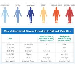 unmistakable obesity scale chart for women bmi weight