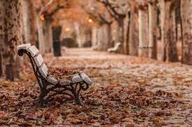 Maybe you would like to learn more about one of these? Picsart Hd Backgrounds Download 2018 Nsb Pictures