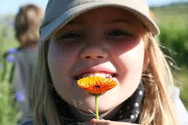 Alice Birney Waldorf Methods K-8 School